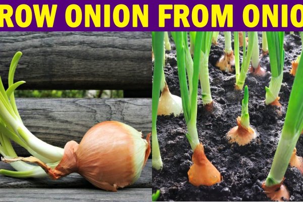 Telegram mega onion mega sbs